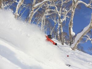 北海道のスキー場おすすめランキングTOP15！人気の場所や初心者向けは？