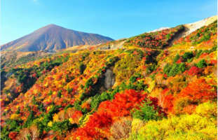 北海道の紅葉の時期や見ごろはいつ？人気スポットや名所をまとめ！
