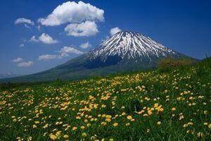 羊蹄山（蝦夷富士）に登山へ！どんな山？観光で行きたいパワースポット！