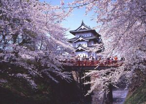 弘前の桜の見頃は？「弘前桜祭り」2017の見所を紹介！開花予想も！