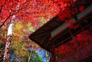 飯能の観光おおすすめスポット紹介！紅葉など自然が素晴らしい！