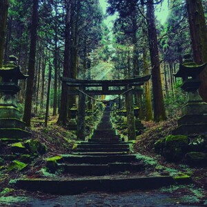 上色見熊野座神社へのアクセスは？阿蘇高森にある神秘的で別世界の参道！