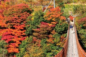 熊本の紅葉狩りの名所を紹介！見どころ・絶景ポイント・アクセスは？