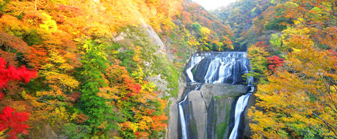  袋田の滝の紅葉を見に行こう！ライトアップした幻想的な風景も見れる！