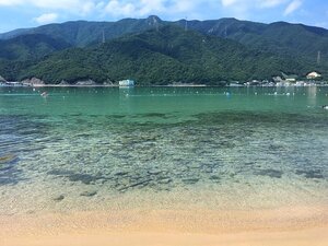水島(福井県)がまるで楽園？夏だけ行ける無人島を徹底調査！