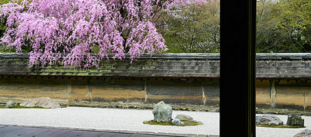 京都の龍安寺を観光！見どころやアクセス方法と拝観料もご紹介！