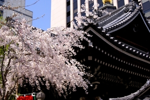 京都の六角堂を観光！おすすめパワースポットやランチもご紹介！
