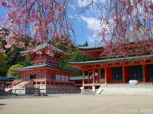 比叡山延暦寺へのアクセスは？観光で訪ね御朱印を頂こう！桜や紅葉も美しい！