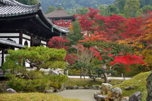 高台寺のライトアップ特集！おすすめの紅葉の見頃も一挙ご紹介！