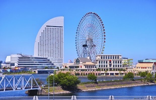 横浜で人気のグルメは？絶対に行きたいおすすめのお店ランキング！