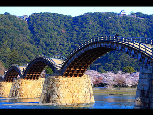 岩国錦帯橋は桜の名所としても人気の観光地！アクセス、料金は？