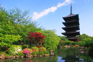 京都の東寺観光！おすすめの見どころからアクセス方法まで！