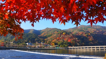 京都嵐山を観光！人気スポットからおすすめの名所をご紹介！