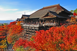京都の寺ランキング31！パワースポットやおすすめの観光名所も