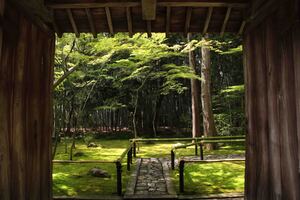 京都大徳寺のアクセスは？観光の見どころや魅力をご紹介！御朱印情報も！