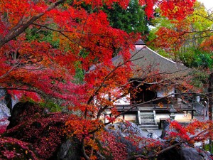 石山寺観光おすすめスポットのご紹介！御朱印を頂きに紅葉も美しい