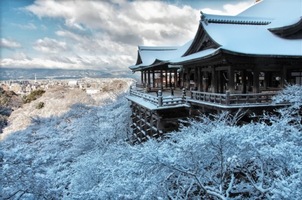 京都の冬を観光！特別拝観やおすすめ人気スポットをご紹介！
