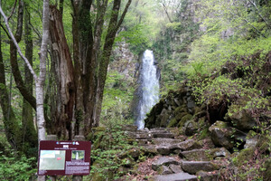 鳥取の雨滝は滝百景！絶景スポットとして人気！周辺のおいしい豆腐もご紹介！