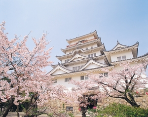 福山城は桜の名所！福山城公園でお花見を楽しもう！開花時期などを紹介！