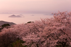 香川・紫雲出山は遺跡がおすすめ！春は桜の名所にも！登山やアクセスも紹介
