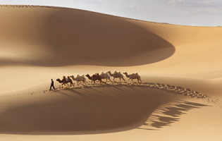 中国の五大砂漠で神秘体験を！一押しの人気観光は美しかった！