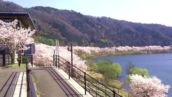 土師ダムは桜の名所！釣りにサイクリングと家族で楽しめるアクティビティも！