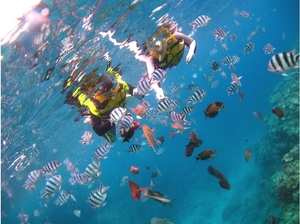 沖縄でシュノーケリング！おすすめの人気ポイントとビーチで熱帯魚を観察！