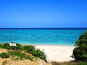 鹿児島の海が息をのむほど綺麗！海水浴に人気！穴場の海岸はココ！