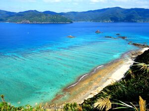 加計呂麻島観光おすすめモデルコースは？ダイビングや宿泊情報も！