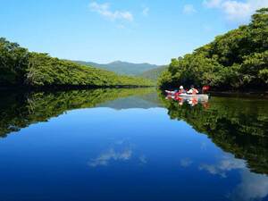 沖縄西表島の観光スポットご紹介！おすすめのモデルコースをご紹介！