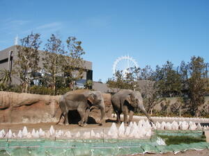 神奈川県内にある動物園のおすすめは？人気ランキングを紹介！