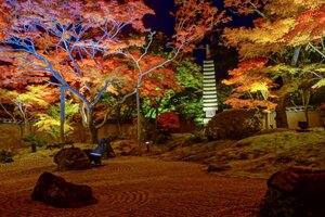 松島のライトアップが美しい！紅葉シーズンの見頃は？アクセス・駐車場をご紹介