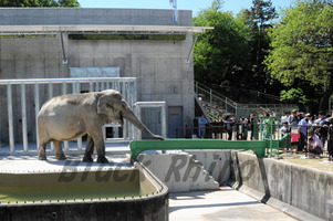 岡崎東公園動物園は一日中楽しめる！沢山の動物や遊具・イベント情報も！