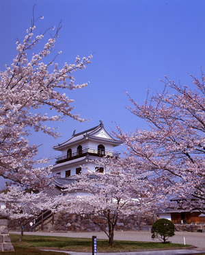 白石城を観光しよう！アクセス・駐車場情報！桜もきれいでおすすめ！