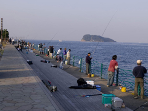 横須賀でおすすめの釣り場は？子連れでも楽しめるポイントはある？