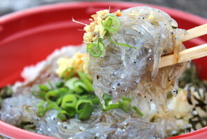 鎌倉のランチで安いのは？しらすなど海鮮丼が安く食べられる？