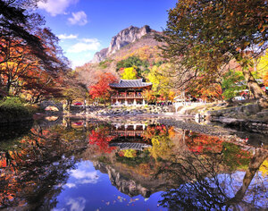 韓国・全羅南道の観光スポットをご紹介！紅葉が美しい地域としても有名！
