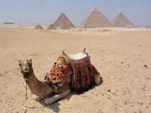 エジプト観光！おすすめ世界遺産・名所11選！現地のお土産も！