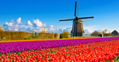 オランダの観光＆旅行スポット21選！運河や美術館など人気の見所を網羅！