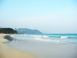 下田の海はここがおすすめ！きれいな海岸や人気の海水浴場もあり！