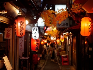 新宿の思い出横丁でおすすめのお店は？行っておきたい人気の名店紹介！