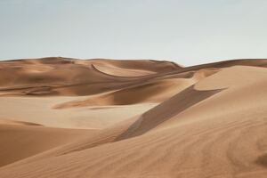 ナミブ砂漠は世界最古の砂丘！満点の星空やトカゲのダンスは見もの！
