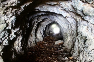 世界で最も深い洞窟「クルベラ洞窟」とは？新種の生き物や進行中の探検に迫る！