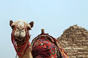エジプトの首都カイロ観光おすすめ7選！歴史地区で世界遺産を堪能！