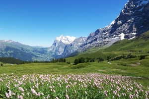 スイス旅行の費用やベストシーズンは？人気観光地への持ち物リストも！