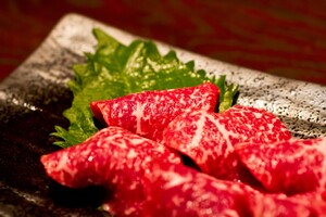 福山市でおすすめグルメを満喫！定番の名物や美味しいランチを紹介！
