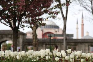アヤソフィアの見所！大聖堂や博物館を観光！イスタンブールの世界遺産！