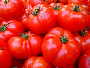 トマト祭りはスペインで人気の催し！気になる開催場所やその歴史を紹介！