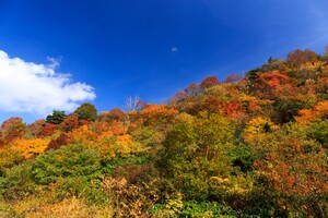 栗駒山の紅葉は絶景！アクセス方法や見ごろは？ドライブもおすすめ