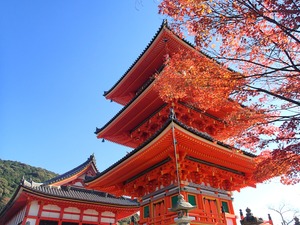 雨の日の京都観光でも大丈夫！おすすめの過ごし方や人気スポットを紹介